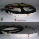 LED Strip Brilux SMD 2835 Mata Kecil | IP 20 - Indoor - 300 LED